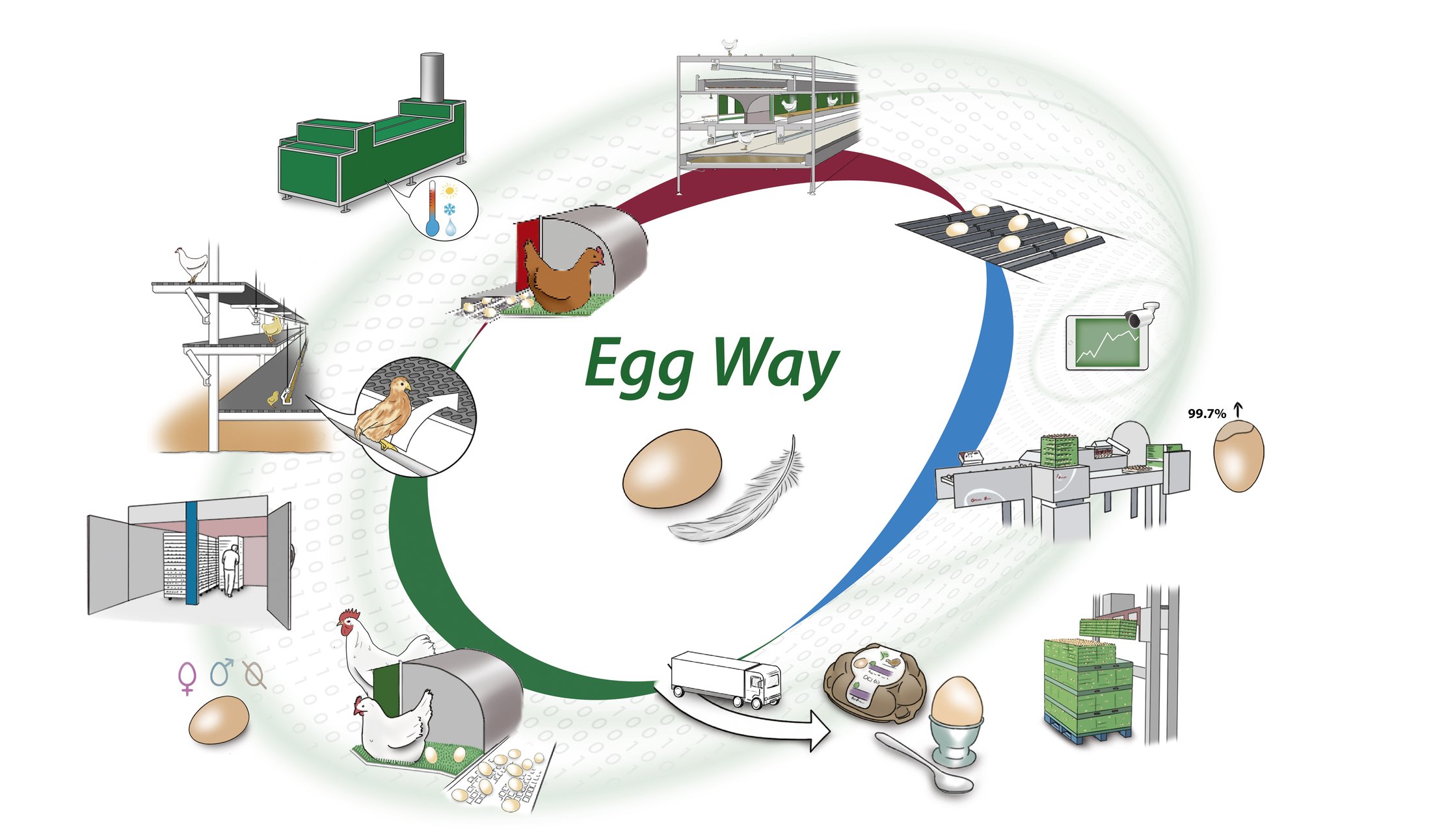 Solutions Egg production Group